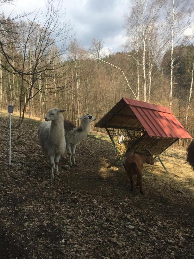 Apartman Hopi Hopi Svoboda Nad Upou Luaran gambar